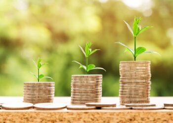 Maximizing Your Earnings: Strategies for Passive Income Through Smart Investments