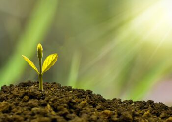 Smart Investment Strategies for Young Adults: Building Wealth Early