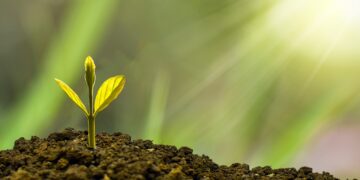 Smart Investment Strategies for Young Adults: Building Wealth Early