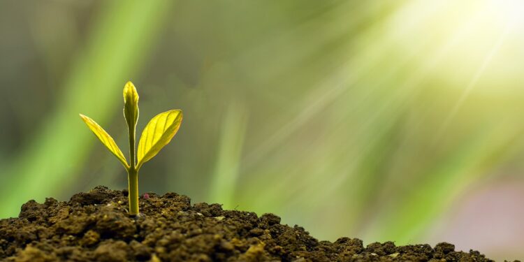 Smart Investment Strategies for Young Adults: Building Wealth Early